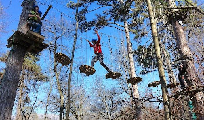 VIVEMENT - Chloro’Fil prépare un parc acrobatique aux portes de Tarbes